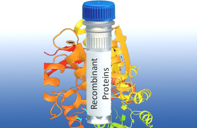 Biochemical Analysis